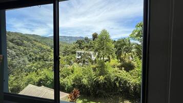 Superior Room | View from room