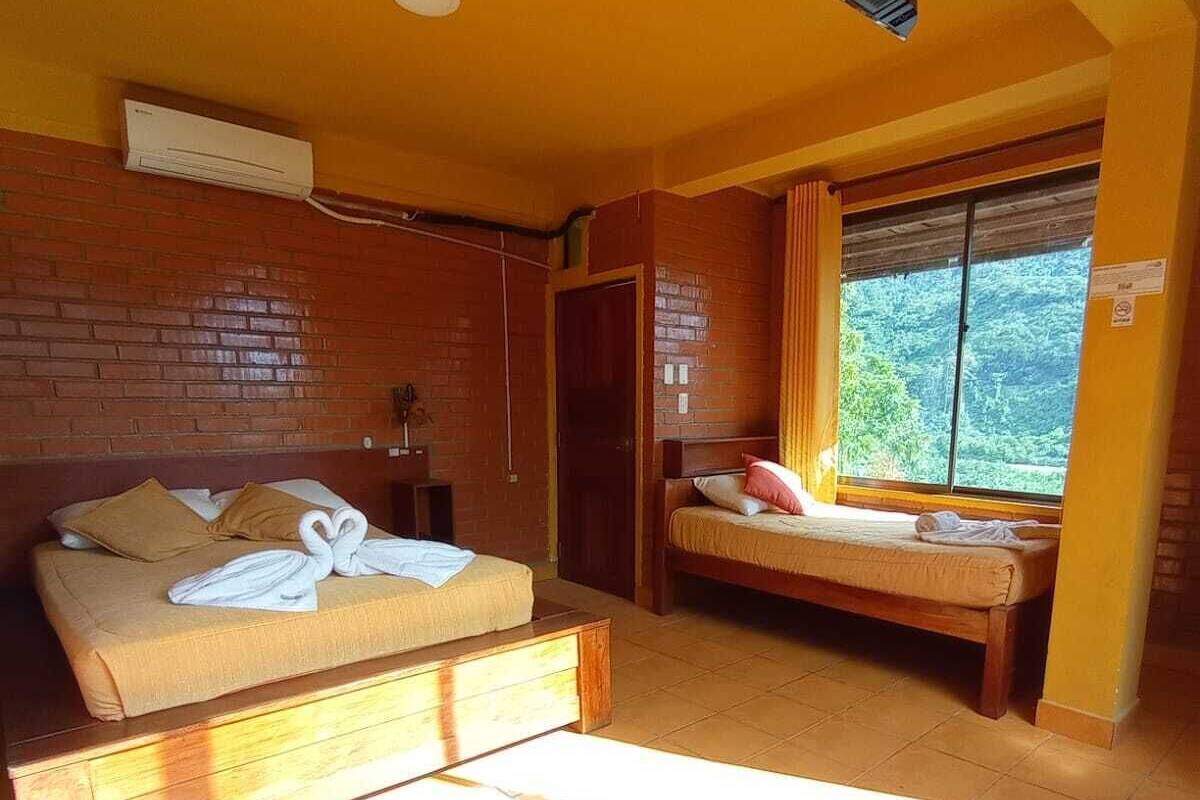 Ett rum med en säng, en soffa, ett fönster med gardiner, en takfläkt och en tv.