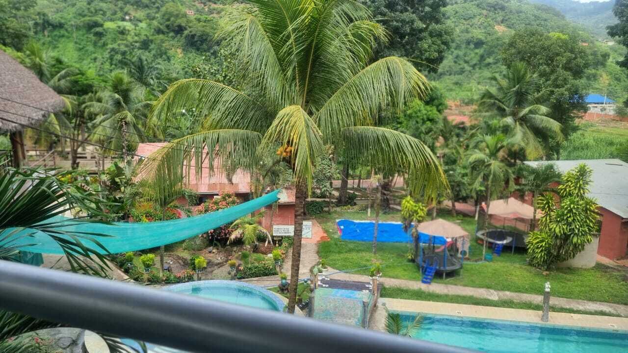 A pool area with a slide, palm trees, and a view of a lush green landscape.