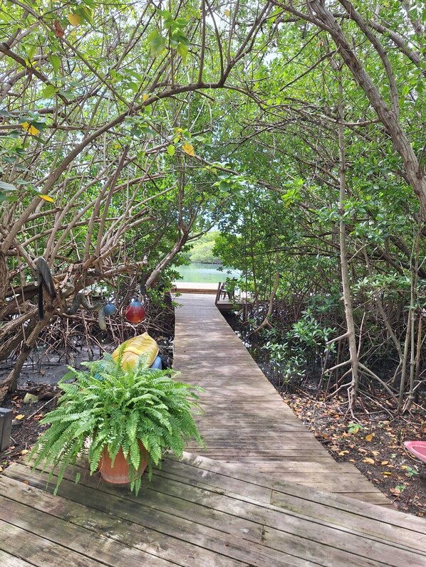 Property grounds - Cozy Seahorse Apt: Prime location near Ferry, Beaches, Dining, Local Favorites (Culebra)