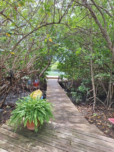 Cozy Seahorse Apt: Prime location near Ferry, Beaches, Dining, Local Favorites