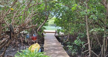 Cozy Seahorse Apt: Prime location near Ferry, Beaches, Dining, Local Favorites