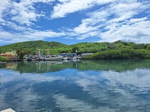 Miscellaneous - Cozy Seahorse Apt: Prime location near Ferry, Beaches, Dining, Local Favorites (Culebra)