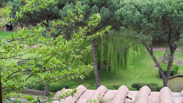 A view of a terracotta-tiled roof, lush green trees, and a stone wall in the background. - Vacation Home Sweet Angel 17, with view of Amphitheater (Sutri)