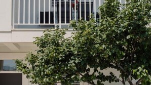 A modern building with a white balcony and a tree in front. - Sunset Bay Villa Kevin (Orebic)