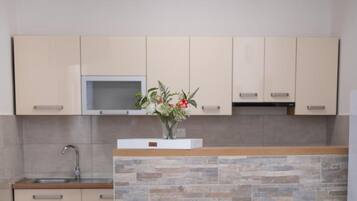 House (Four Bedroom Holiday Home with Terrac) | Private kitchen | Fridge