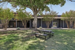 A modern building with a courtyard, outdoor seating, and a large tree. - [04] ATX Studio: 1 Queen, Dog Park, Laundry Access (Austin)