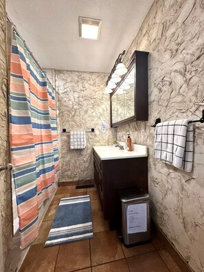 Hair dryer, towels, soap, shampoo - Sleeps 8: Family and Pet Perfect, Large Yard (Richland Hills)