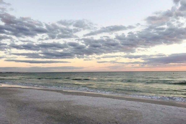 Beach - Near Beaches & IMG Academy, Mins to Downtown (Bradenton)