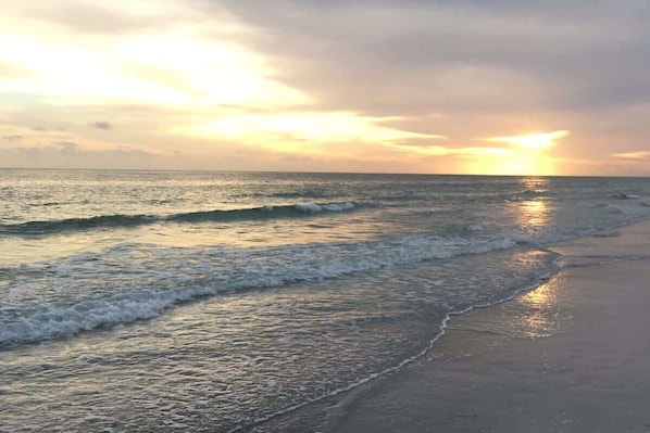 Beach - Near Beaches & IMG Academy, Mins to Downtown (Bradenton)