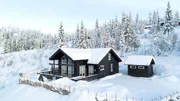 Exteriör