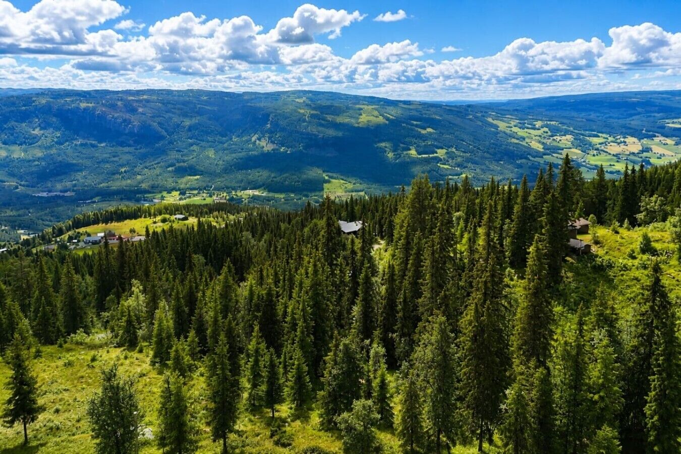 Un paisaje montañoso con bosque denso y edificios dispersos.