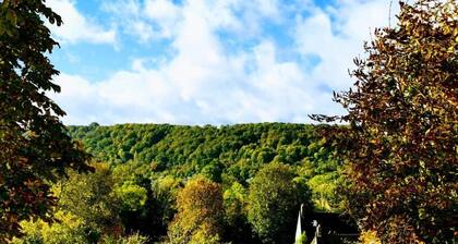 Immerse yourself in this spacious 26mÂČ room inspired by the mastery of light.