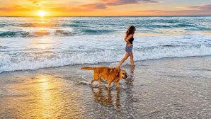 A person walking a dog on a beach at sunset. - Treasure Coast Hideaway | Dogs Welcome, No Fees (Fort Pierce)