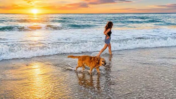 En person går tur med en hund på en strand i solnedgangen.