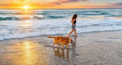 Treasure Coast Hideaway | Dogs Welcome, No Fees
