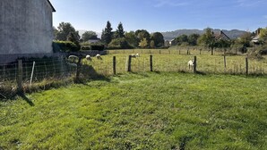 Un paysage rural avec un bâtiment blanc, un champ clôturé et des moutons qui paissent.