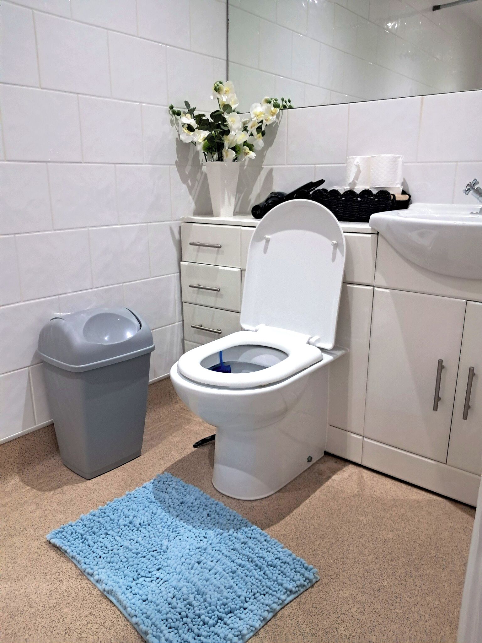 Ein Badezimmer mit Toilette, Mülleimer, Waschbecken und einer blauen Fußmatte.