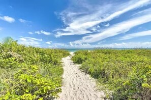 Un sendero arenoso que lleva a una playa bordeada por una vegetación exuberante.
