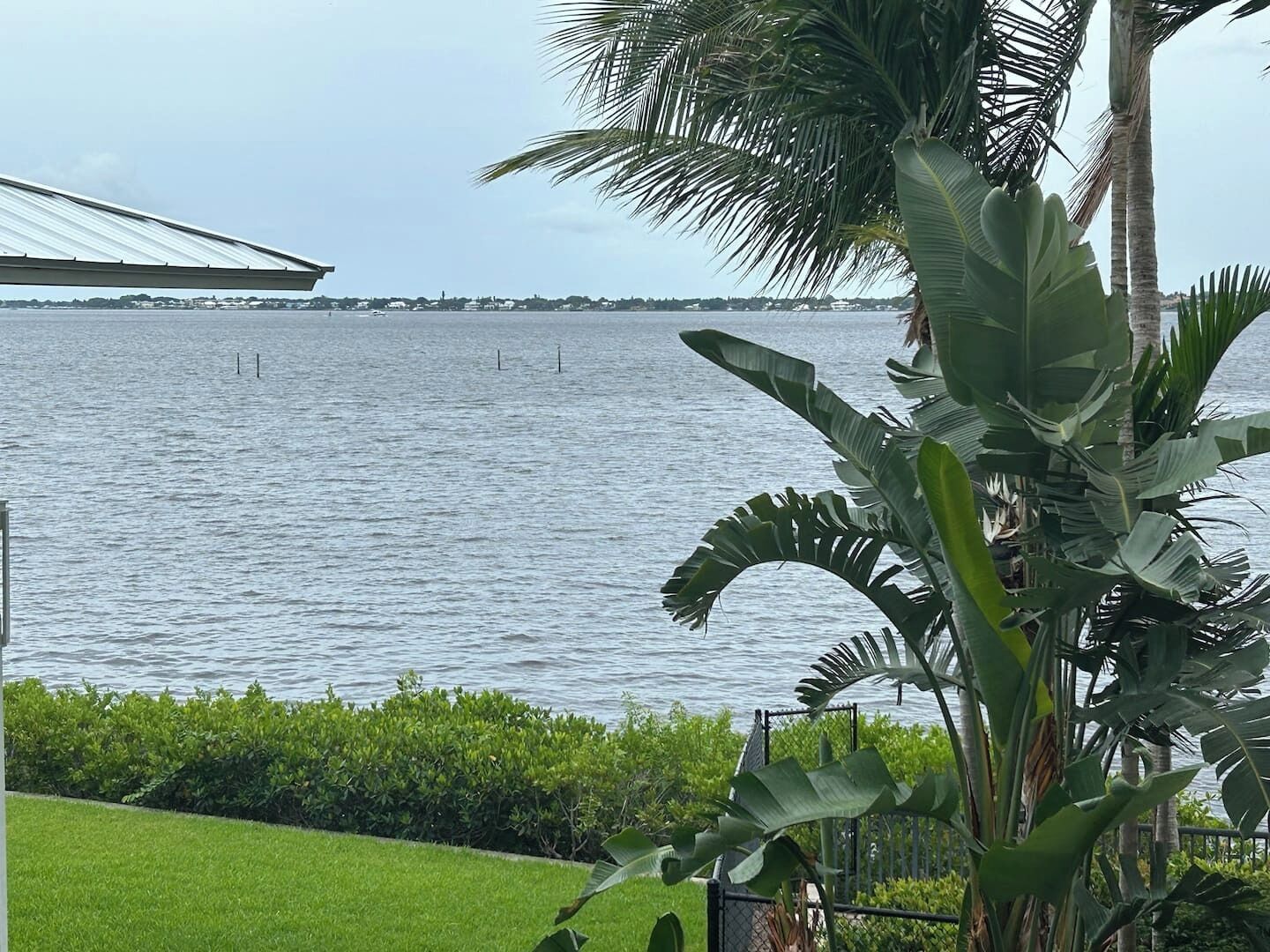 A waterfront view with a building, palm trees, and a grassy area.