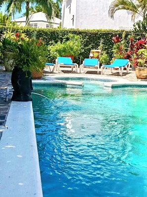 Pool - Villa + Bungalow 300M from the beach (Las Terrenas)