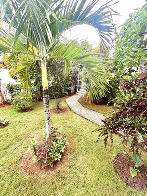 Een tuin met een pad, verschillende planten en een palmboom.