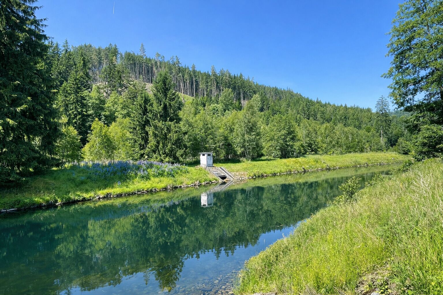 A serene river with a small bridge and a cabin in a forested area.