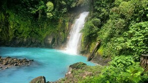 A waterfall in a lush, green forest setting. - AURALTA RIO CELESTE I Elohi Collection (Katira)