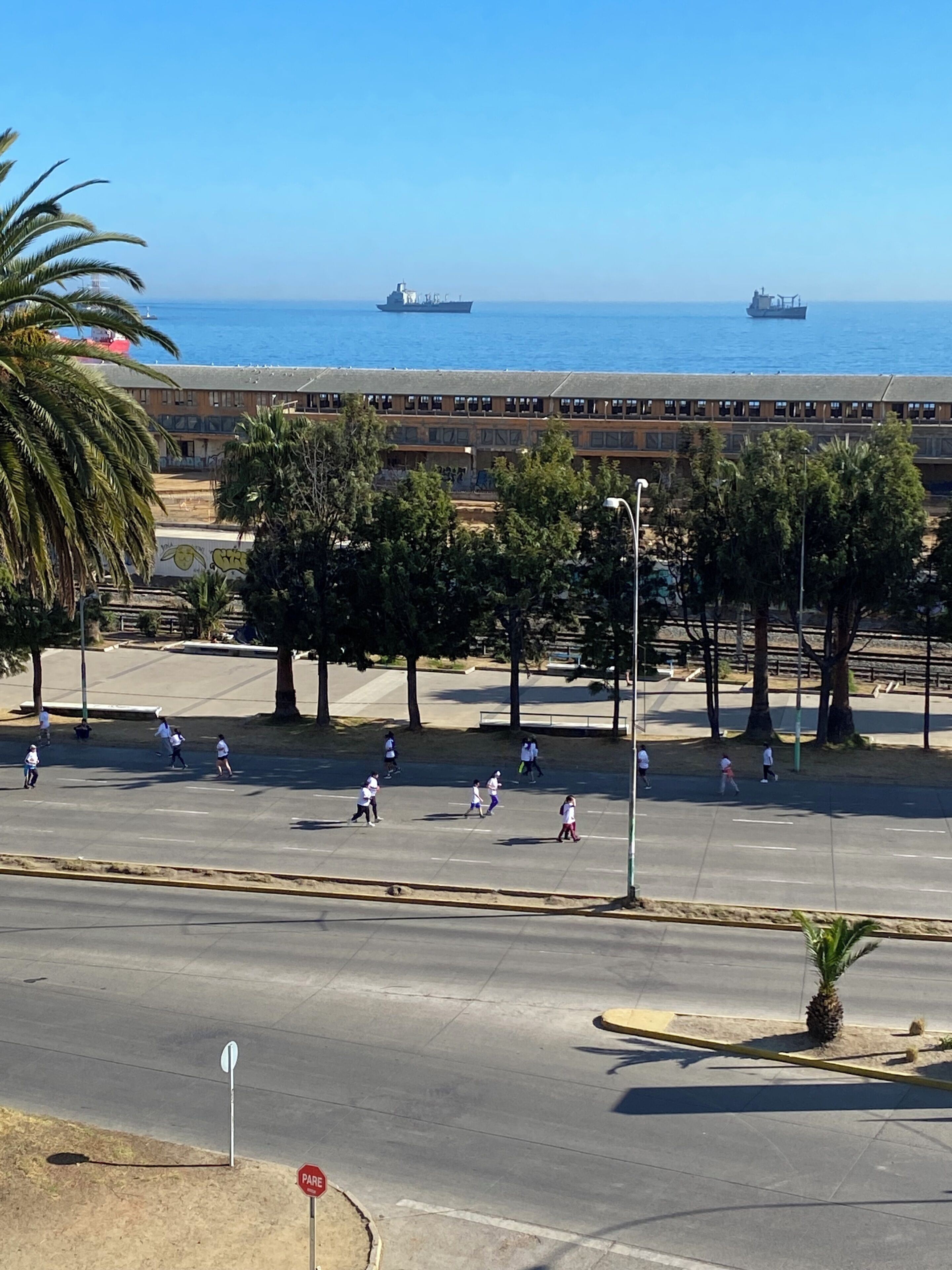 Eine Küstenstraße mit Fußgängerüberweg, Palmen und einem entfernten Blick auf das Meer mit Schiffen.