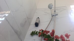 Ein Badezimmer mit Dusche, Duschbrause, Handmassagegerät und einer Pflanze.