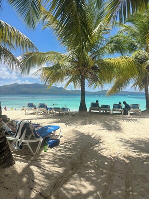 Ein Strand mit Palmen, Liegestühlen und freiem Blick auf den Ozean.