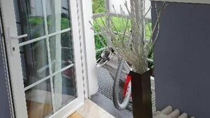A room with a sliding glass door leading to an outdoor area, a radiator, and a potted plant. - Le Domaine d'Eva (Libramont-Chevigny)