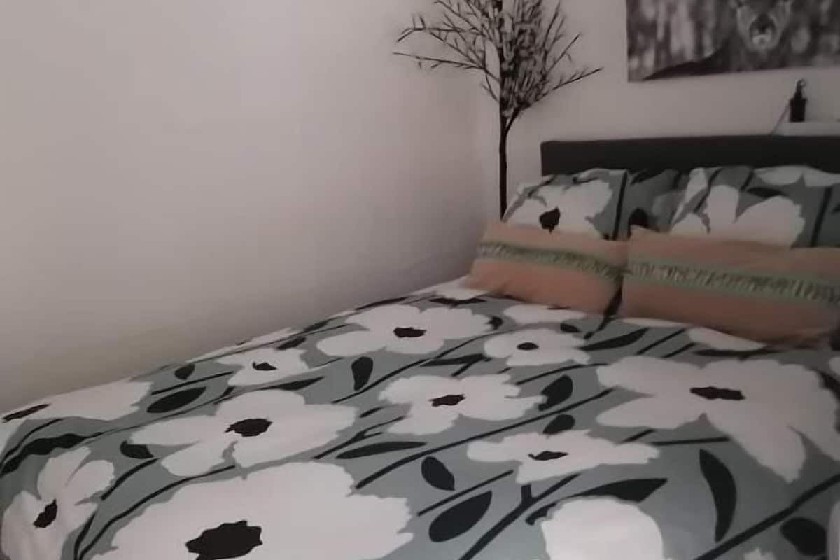 Studio, quang cảnh vườn