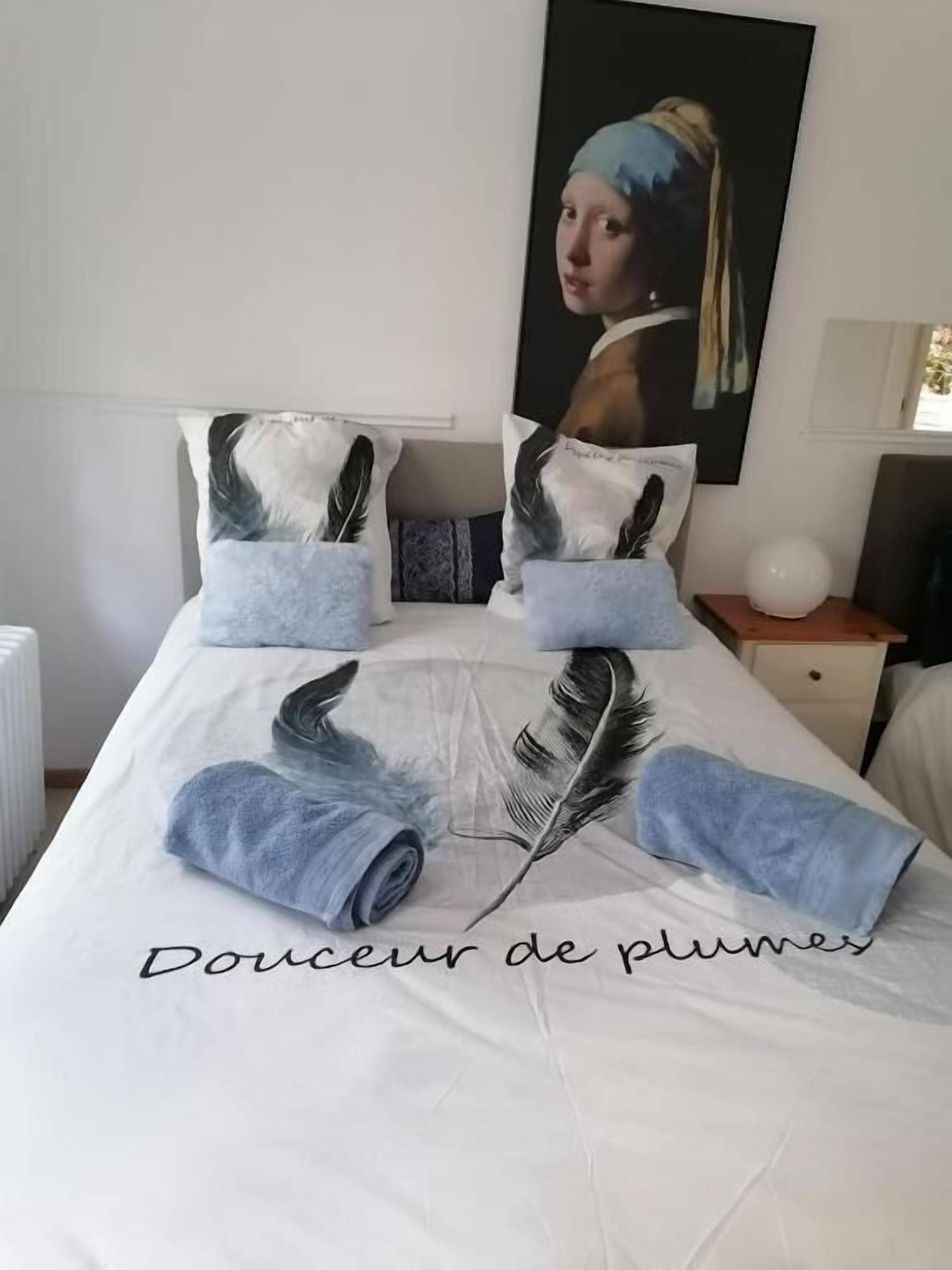 Uma cama com um quadro de uma mulher, almofadas com desenhos de penas e a inscrição 'Douceur de plumes' no cobreleito.