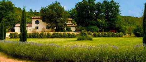 A building with a clock tower, surrounded by a well-maintained garden with lavender fields.