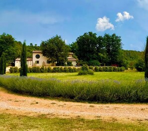 Property grounds - Private suite in Provence surrounded by nature and animals near the Verdon river (Tavernes)