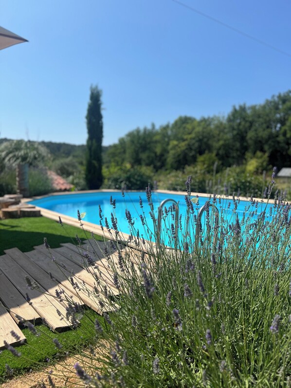Pool - Private suite in Provence surrounded by nature and animals near the Verdon river (Tavernes)