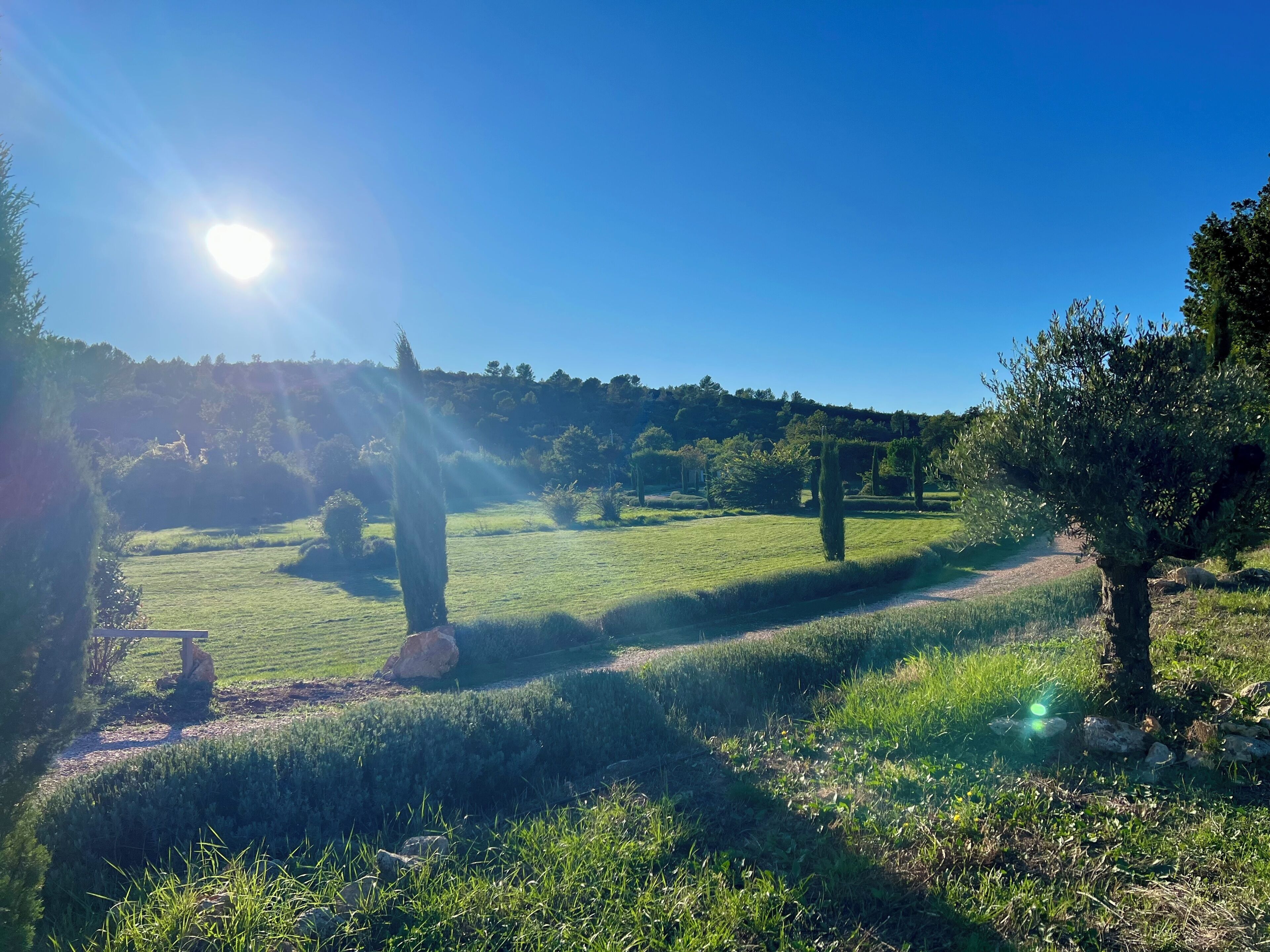 Un paysage baigné de soleil, avec un ciel dégagé, un sentier et des arbres dispersés.