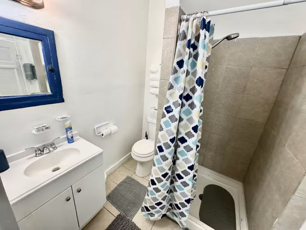 Une salle de bain avec un lavabo blanc, un miroir, des toilettes et un rideau de douche.