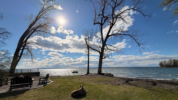 A park with a bench, a dog lying on the grass, and a lake.