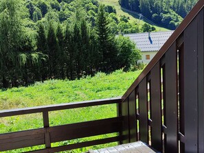 Property grounds - Apartment in Valloire - pets allowed - 4 guests (Valloire)
