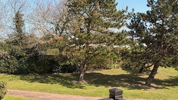 A pathway leading through a park with trees and a grassy area. - Cozy duplex near the sea - 4 guests (Merville-Franceville-Plage)