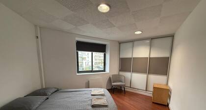 Elegant duplex in angers - 5 bedrooms air conditioner & centre