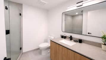 A modern bathroom with a glass shower enclosure, a white toilet, a wooden vanity with a sink, and a large mirror.