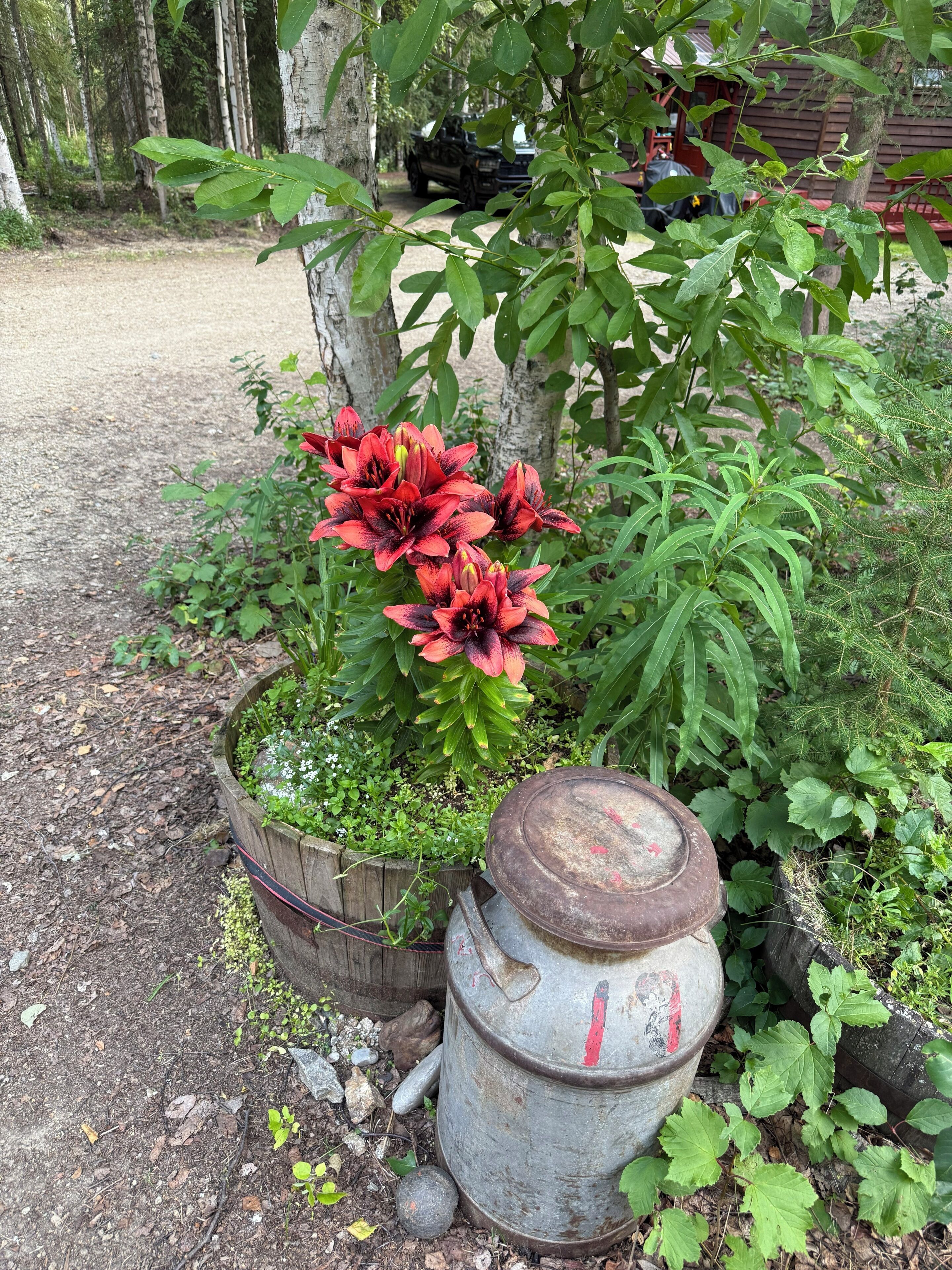Enceinte de l’hébergement