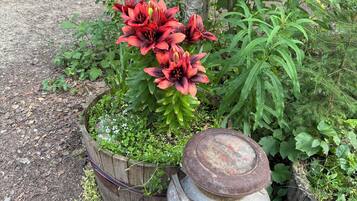 Enceinte de lâhĂ©bergement