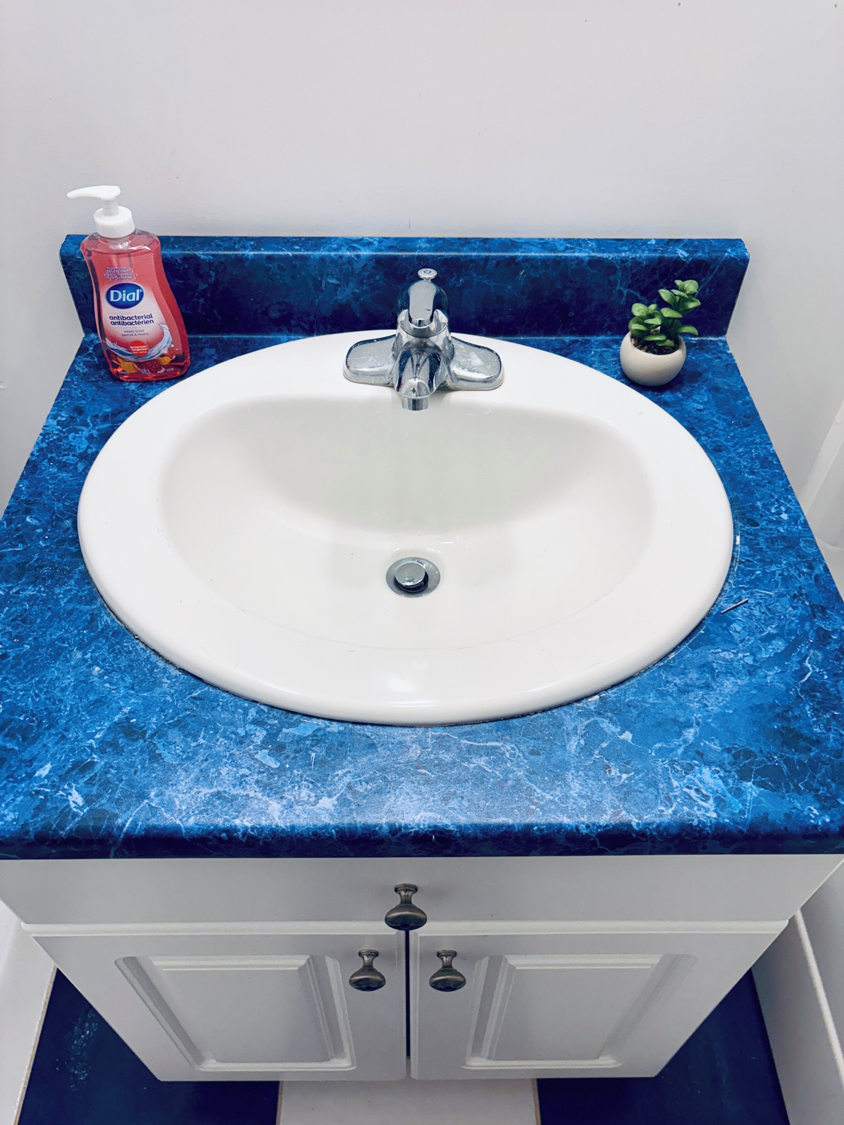 Un baño con un lavamanos blanco, encimera de mármol azul, una planta pequeña en maceta y una botella de jabón antibacteriano Dial.