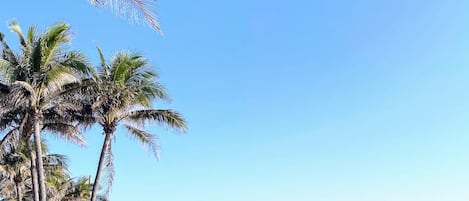In StrandnĂ€he, StrandtĂŒcher