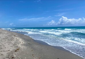 Beach nearby, beach towels - Coastal Retreat-Walk to the Beach + Bikes Included (Juno Beach)