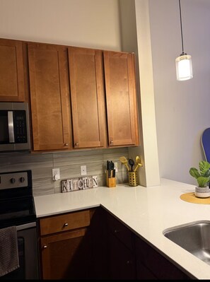 Microwave, oven, stovetop, dishwasher - Cozy Downtown Houston Skyline Luxury Gem (Houston)